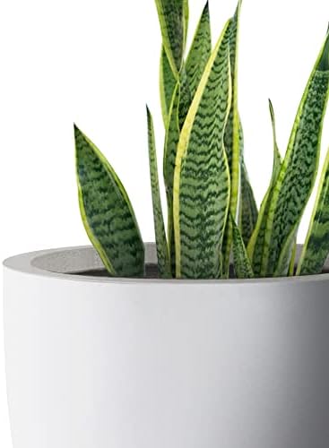 Kante 18 Inch Dia Round Concrete Planter, Indoor Outdoor Large Plant Pot with Drainage Hole and Rubber Plug for Home Patio Garden, Pure White - Image 3