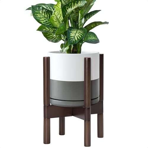 D'vine Dev Ceramic Pot with Walnut Wood Stand, White/Grey, 8 in, 55-B-Y-6 by DvineDevPlanterPotsandStand