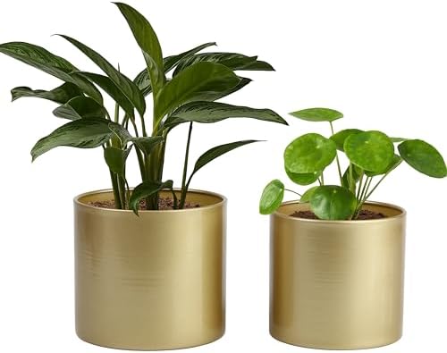 Vixdonos Metal Flower Pots Garden Planters Indoor Round Succulent Containers, Pack 2 Cactus Plant Pots with Drainage Hole (5.9inch+6.7inch, Gold) by Vixdonos