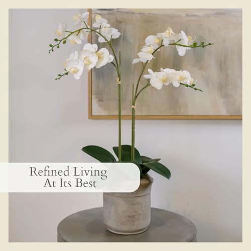 CG Hunter, Faux White Orchid Plant, 24 in, Grey, Home Decor - Image 5