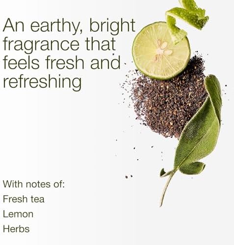 Bath & Body Works 3-Wick Candle, White Tea & Sage, Soy Wax Blend - Image 3