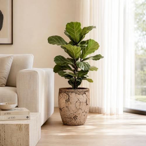 11" H x 10" Dia Fiberstone Planter Pot with Drainage Hole, Handcrafted Distressed Decorative Flower Pot for Indoor Outdoor Plants, Rustic Earthy Brown Boho Planter for Patio, Garden & Home - Image 2
