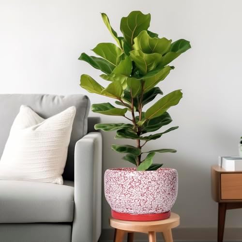 SQOWL Ceramic Planters for Indoor Plants - 10 Inch Flower Pots with Drainage Hole and Saucer, Decorative Ceramic Plant Pots, Round Large Planter Outdoor, Room Decor, Housewarming Gifts, Red and White - Image 2
