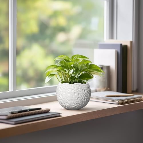 4 Inch Plant Pots - Ceramic Pots for Plants with Drainage Hole, Small Planter for Indoor Outdoor, Unique Succulent Pot, Decorative Modern Round Planter, Desk Decor, Plant Lover Gifts, White - Image 5