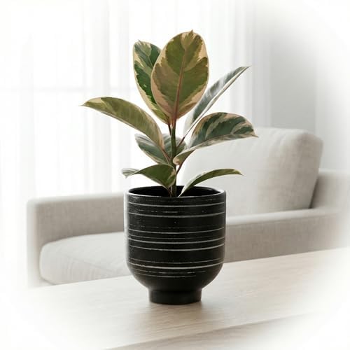 HERDUK Indoor Ceramic Planter, Black Striped Pot for Shelf, Drainage Hole - Image 4