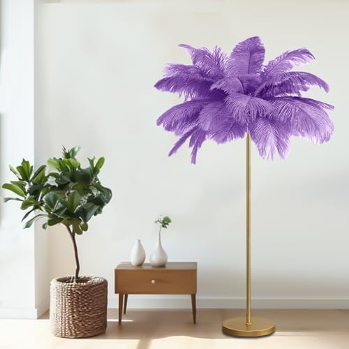 Feather Floor Lamp,Fluffy Ostrich Feather Floor Lamp for Bedroom,3 Color Temperatures Led Corner Modern Floor Lamps for Living Room Christmas Home Decor House Warming Gifts,63″ Height (Light Purple) by Unknown
