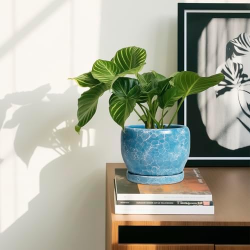 SQOWL 6 Inch Plant Pot - Ceramic Indoor Planter with Drainage Hole and Saucer, Decorative Ceramic Flower Pot Outdoor, Round Succulent Planter, Home Office Room Decor, Gifts for Plant Lovers, Blue - Image 6