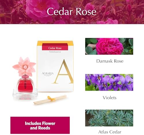 AGRARIA PetiteEssence Flower and Reed Diffuser Set, Hand Crafted Sola Flower Botanical Home Fragrance, Scented Oil Gift Set for All Occasions - Image 3