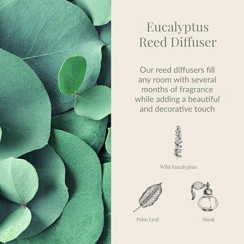 Archipelago Botanicals Eucalyptus Reed Diffuser, 7.85 fl oz - Image 2