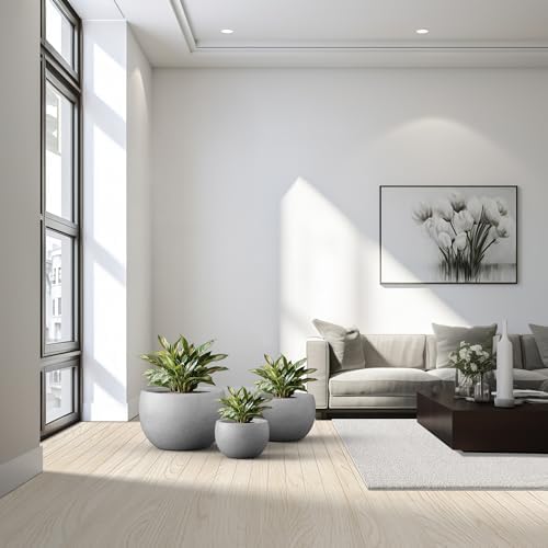 Kante Set of 3 Pale Gray Concrete Bowl Planters 20" 15.7" 11.8" Dia - Image 5