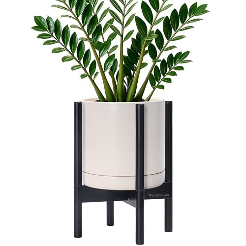 D'vine Dev Ceramic Pot with Ebony Wood Stand, Oatmeal, 10 in, 55-B-L-8 by DvineDevPlanterPotsandStand