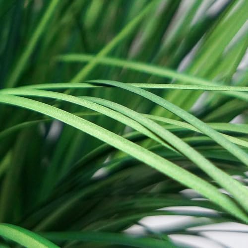Artificial Tree in Modern Granite Effect Planter, Fake Onion Grass Silk Tree for Indoor and Outdoor Home Decoration - 55" Overall Tall (Plant Pot Plus Tree) - Image 4
