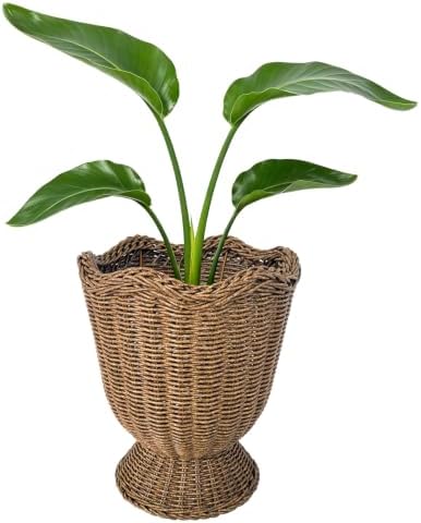 Rattan Planter, Woven Planter Basket for Plants Indoor Outdoor, Rattan Flower Pot, Decorative Plant Holder Basket for Garden Patio Boho Home Decor(Brown&Scalloped-Small:11.81" H x 9.84" W) by Unknown