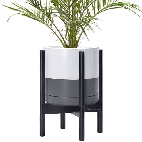 D'vine Dev Ceramic Pot with Ebony Wood Stand, White/Grey, 10 in, 55-B-L-6 by DvineDevPlanterPotsandStand