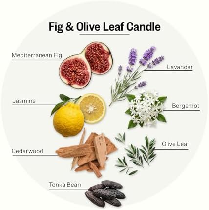Apotheke Signature Scented Candles for Home, Fig and Olive Leaf - 10.5 Oz - Image 2