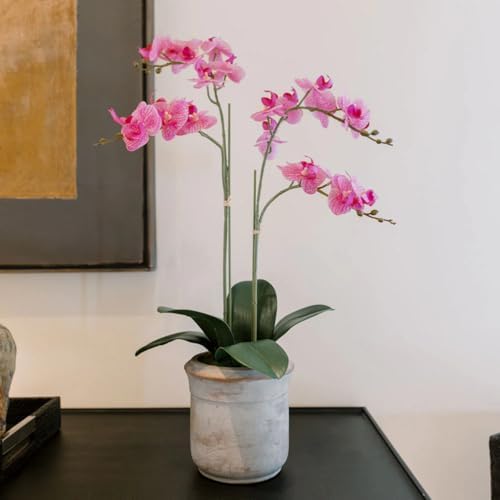 CG Hunter, Faux Pink Orchid Plant, 24 in, Grey, Home Decor by CGHunter