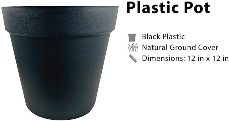LCG Florals 10ft Artificial Ficus Tree in Black Plastic Pot - Real Wood Trunk, No Maintenance Indoor Faux Plant - Living Room, Home & Office Decor - Image 4