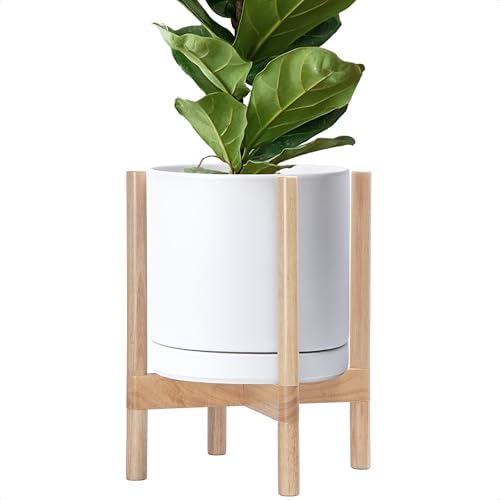 D'vine Dev Ceramic Pot with Natural Wood Stand, White, 12 in, 55-B-J-1 by DvineDevPlanterPotsandStand