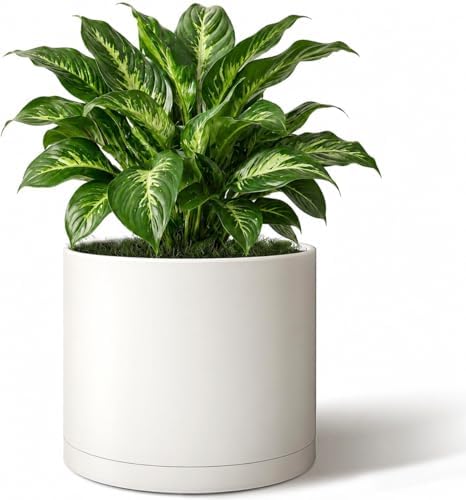 Giraffe Creation 10 Inch Cylinder Plant Pot, Modern Round Planter with Drainage Holes and Saucer, Lightweight Plastic Flower Pot for Indoor Outdoor Plants, White by Giraffe+Creation