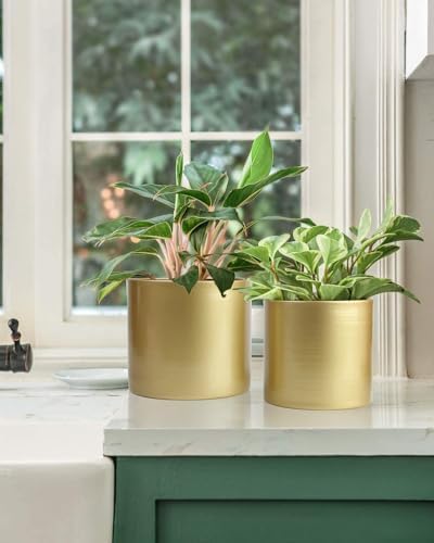 Vixdonos Metal Flower Pots Garden Planters Indoor Round Succulent Containers, Pack 2 Cactus Plant Pots with Drainage Hole (5.9inch+6.7inch, Gold) - Image 5