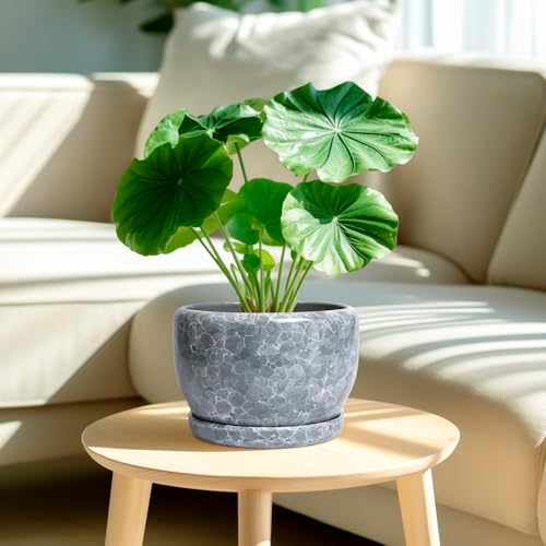 SQOWL 8 inch Plant pots Indoor - Ceramic Planter with Drainage Hole and Plant Saucer, Decorative Ceramic Flower Pot Outdoor, Modern Round Planter, Patio Porch Garden Decor, Garden Gifts, Gray - Image 2
