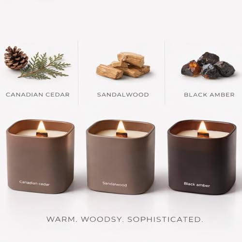 Set of 3 Premium Scented Soy Candles Gift Set | Dusk to Dawn Collection - Canadian Cedar, Black Amber & Sandalwood | Crackling Wood Wick | Luxury Candles for Relaxation, Home Décor, Gifts | 9.8oz Each - Image 2