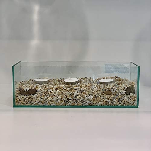WGV Rectangle Plate Vase, Length 12", Width 4", Height 4", Glass Container, Floral Dispaly, Candy Holder, Planter Terrarium for Wedding Party Event, Home Office Décor, Clear, 1 Piece - Image 4