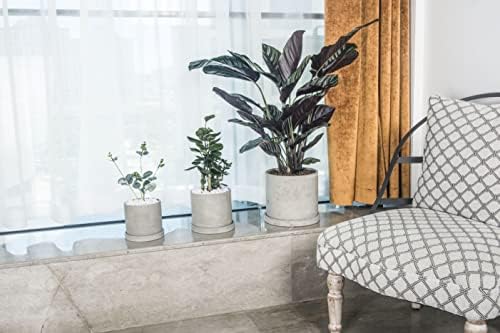 Ekirlin 9 Inch Flower Plant Pot Indoor - Grey Cement Garden Planter Concrete Planter with Drain Hole Saucer, Modern Succulents Containers for Home Decor, Office & Outdoor - Image 6