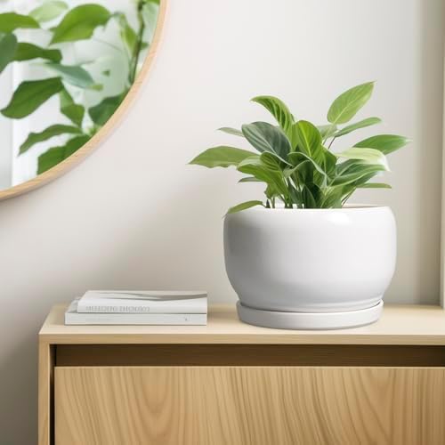 SQOWL Ceramic Pot for Plants - 10 Inch Planter with Drainage Hole and Saucer, Round Ceramic Flower Pot for Indoor Outdoor, Modern Decorative Large Planter, Patio Decor, Gifts for Plant Lovers, White - Image 7