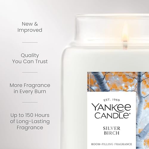 Yankee Candle Silver Birch Scented Candle, 22oz Large Jar - Image 3