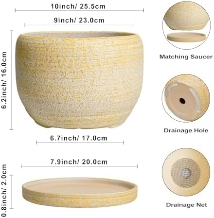 SQOWL Ceramic Planters for Indoor Plants - 10 Inch Plant Pot with Drainage Hole and Saucer, Round Ceramic Flower Pot Outdoor, Decorative Large Planter, Office Decor, Gifts for Women Men, Yellow - Image 3