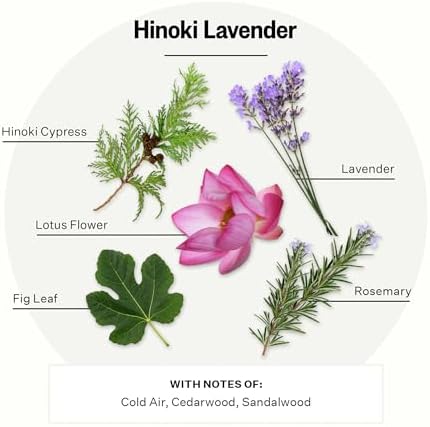 Apotheke Signature Scented Candles for Home, Hinoki Lavender - 10.5 Oz - Image 3