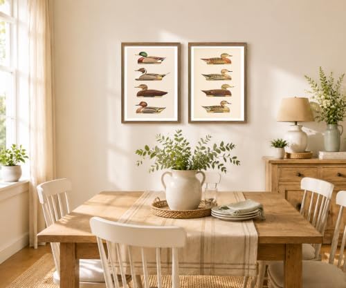 Vintage Duck Wall Art Set of 2 Framed, Waterfowl Bird Prints - Image 7