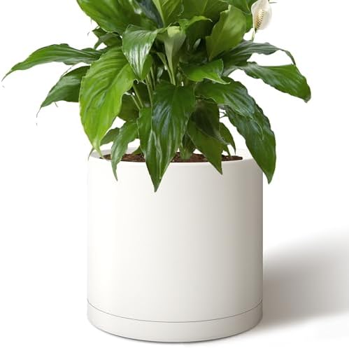 Giraffe Creation 14 Inch Cylinder Plant Pot, Modern Round Planter with Drainage Holes and Saucer, Durable Plastic Flower Pot for Indoor Outdoor Plants, White by Giraffe+Creation