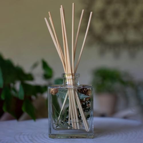 Rosy Rings Forest Botanical Reed Diffuser 4oz - Lasts 6-12 Months, Aromatherapy Diffuser, Reed Diffuser Sticks, Diffuser with Botanicals Perfect for Home Decor! - Image 4