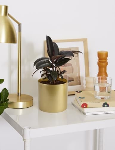 Vixdonos Metal Flower Pots Garden Planters Indoor Round Succulent Containers, Pack 2 Cactus Plant Pots with Drainage Hole (5.9inch+6.7inch, Gold) - Image 6