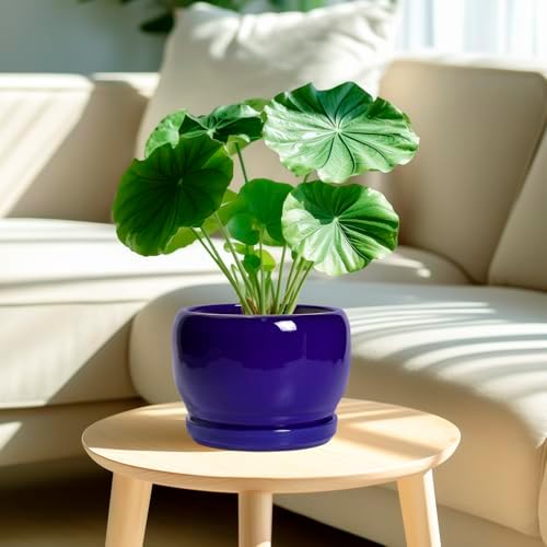 SQOWL 8 Inch Plant Pot - Ceramic Planter for Indoor Plants Outdoor, Ceramic Flower Pot with Drainage Hole and Saucer, Modern Round Planter, Bathroom Decor, Gifts for Plant Lovers, Blue - Image 2