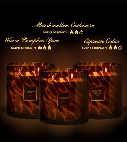 | Huge 10lb Luxury Candle, 150oz, 500 Hours | Espresso Cedar | Espresso, Oakmoss, Cedar | Natural Coconut-Soy Wax | by Big Ass Luxuries | As Seen On Shark Tank - Image 6