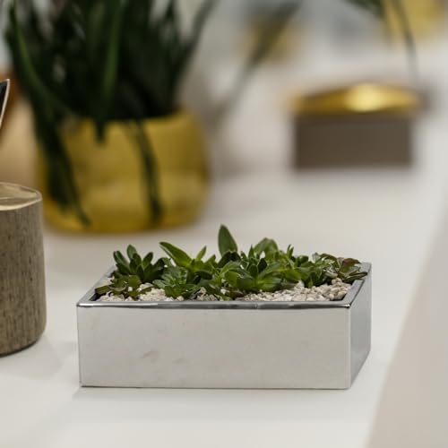 WGVI Long Rectangle Ceramic Planter Vase in Silver 12" x 4" x 4"H, Block Rectangular Terrarium Box Pot, Flower Arrangement, Table top Centerpiece, Home Decor Organization Storage Container, 1 Pc. - Image 5