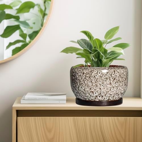 SQOWL Ceramic Plant Pots - 10 Inch Planter for Indoor Plants Outdoor, Large Flower Pots with Drainage Hole and Saucer, Decorative Round Planter, Apartment Decor, Garden Gifts for Women, White - Image 6