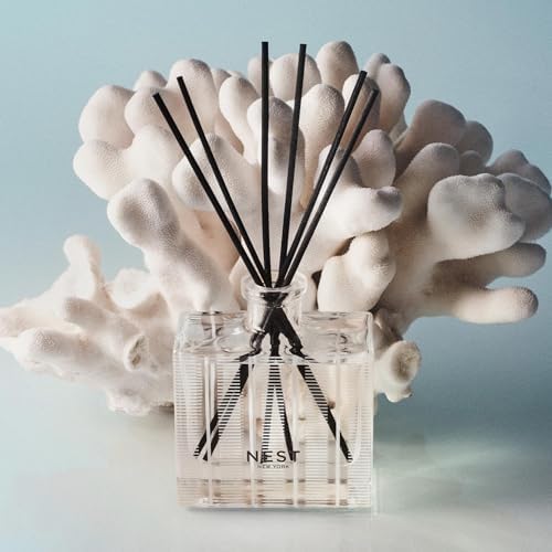 NEST New York Reed Diffuser, Ocean Mist & Sea Salt - 5.9 fl oz - Fragrance for Up to 90 Days - Reusable, Refillable Glass Holder - Includes 8 All-Natural Reed Sticks - Flame Free - Image 5