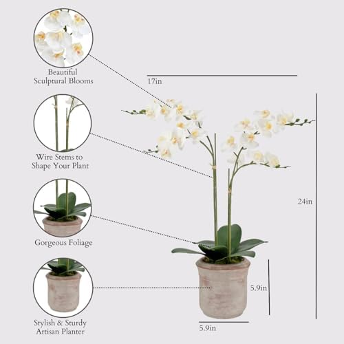 CG Hunter, Faux White Orchid Plant, 24 in, Grey, Home Decor - Image 2