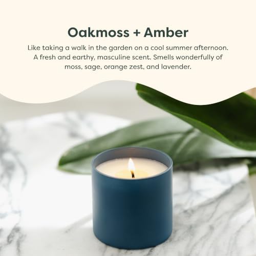 Calyan Wax Co. Dignity Series Oakmoss & Amber Scented Candle - Image 3
