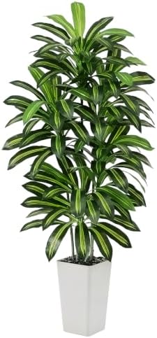 Artificial Dracaena Tree 5FT / White Planter, Tall Plants Indoor by FSOHOI