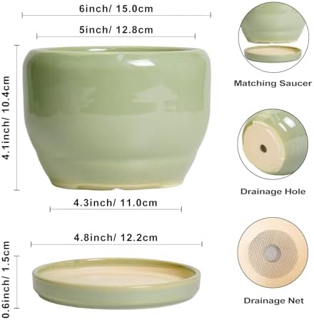SQOWL Ceramic Pot for Plants - 6 Inch Planter for Indoor Outdoor Plants, Round Decorative Flower Pot with Drainage Hole and Saucer, Modern Small Planter, Patio Decor, Garden Gifts, Green - Image 3