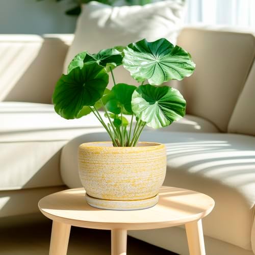 SQOWL Ceramic Flower Pots - 8 inch Plant Pot Indoor with Drainage Hole and Saucer, Modern Ceramic Planter Outdoor, Round Decorative Planter, Living Room Home Decor, Gifts for Plant Lovers, Yellow - Image 2