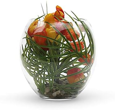 WGV Bowl Glass Vase Bulk, Diameter 7.5", Height 8", (Multiple Sizes Choices) Clear Egg Oval Jar Floral Planter Terrarium for Wedding Event Home Decor, 4 Pieces (VBW0608) - Image 4
