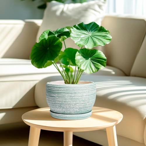 SQOWL Ceramic Planters for Indoor Plants - 8 inch Plant Pot Outdoor, Ceramic Flower Pot with Drainage Hole and Saucer, Round Modern Planter, Living Room Apartment Decor, Birthday Gifts, Green - Image 2
