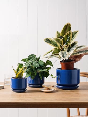 LE TAUCI Ceramic Pots for Plants, 4.3+5.3+6.8 Inch, Set of 3, Sapphire Blue - Image 4
