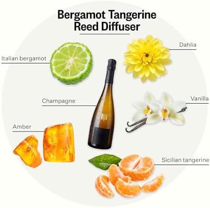 Apotheke Scented Reed Diffuser for Home, Bergamot Tangerine, 10 Reed Sticks - Image 3